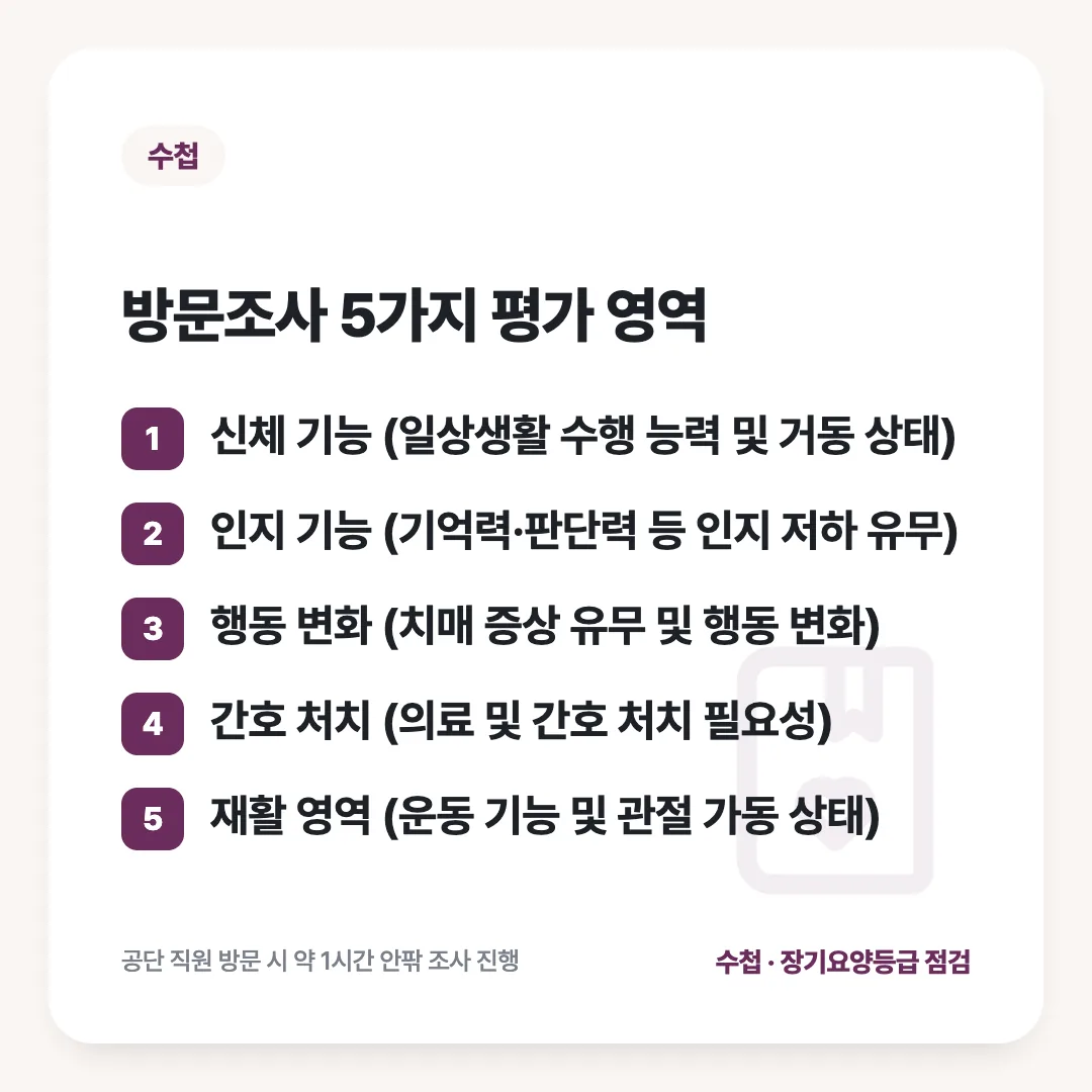 방문조사 5가지 평가 영역: 신체 기능 (일상생활 수행 능력 및 거동 상태) / 인지 기능 (기억력·판단력 등 인지 저하 유무) / 행동 변화 (치매 증상 유무 및 행동 변화) / 간호 처치 (의료 및 간호 처치 필요성) / 재활 영역 (운동 기능 및 관절 가동 상태)